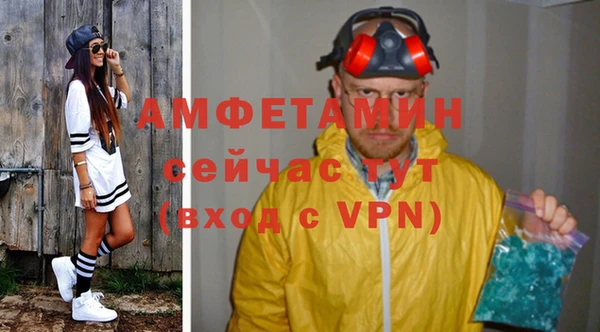 мдпв Володарск