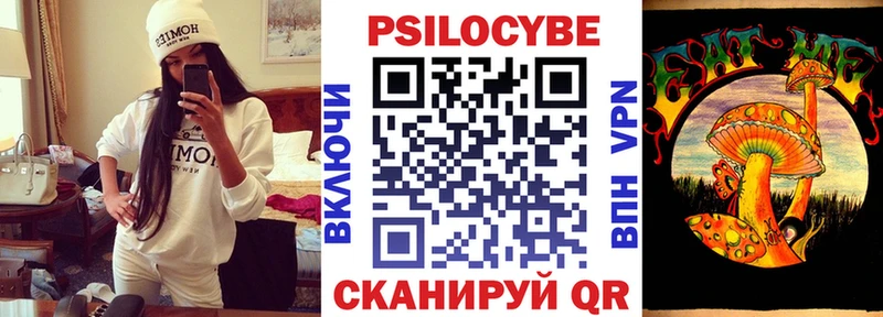 Псилоцибиновые грибы GOLDEN TEACHER  OMG ссылка  Новосокольники  продажа наркотиков 